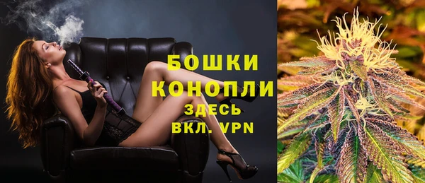 твердый Арсеньев
