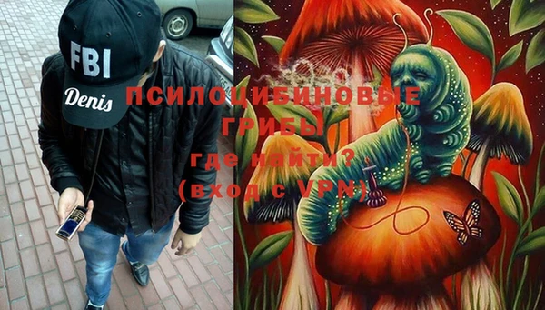 твердый Арсеньев