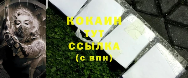 твердый Арсеньев